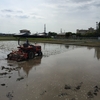 代掻きの濁れる水に雲流れ