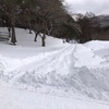 一本杉園地キャンプ場　その19