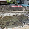 【西国三十三ヶ所第7番】岡寺【奈良県】