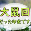 【どうする家康】大鼠が印象的だった伊賀越え回の感想雑記