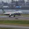  BR B-16333 A330-300(X)