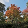 神護寺で一足早い京都の紅葉に出合う