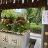 松陰神社から梅ヶ丘へ（2025.10.27）
