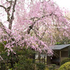 三宝寺