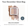 IPSY Add-on（Dec 2021）