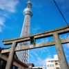 スカイツリーを見あげる神社