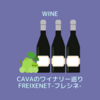 CAVAのワイナリー巡り FREIXENET-フレシネ-