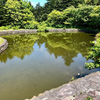 「池の森」の防火池（北海道利尻）