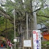 氷見、朝日山公園