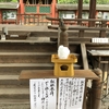 夏と言えば、かき氷でしょ！