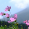 さわやか北信の旅　いわさきちひろ黒姫山荘