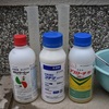 今年最後の定期薬剤散布