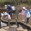 カエルの卵と3歳児