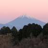 今朝の景色