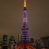 【大門・浜松町】明の春の東京タワー  January 2019