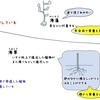 透明な海にひろがるサンゴの生態