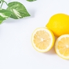 🍊柑橘系 おすすめギフト🎁