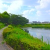  実走！名古屋RUNコース vol.63「新池（天白区）」。