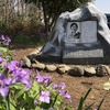 【日和田山･物見山･ユガテ】サクラは葉桜、早くもツツジ！里山はすっかり春めいて