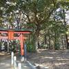 上尾市平塚「氷川神社」・「平塚公園」で野鳥