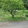 草刈りウィークデー