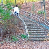 美しの森公園に寄りみち