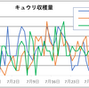 家庭菜園の光と影