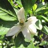 【隠居の朝の一言　家庭菜園待ったなし　05/30】