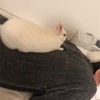 肩こりには先生
