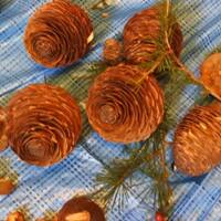 クリスマスリースの材料