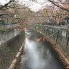 都バスで東中野から新橋へ