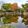 紅葉🍁瑞牆山きのこ狩り