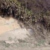 春だ！　野外だ！…　花粉じゃ？