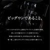 PROJECT BIG1