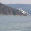 直島へアートを見にゆく