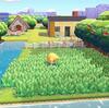 【ぽこ あ ポケモン】カントー地方を完全再現した神建築動画