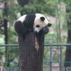 上野動物園