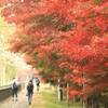 都内から日帰りで行ける秋旅スポット！碓氷峠の廃線跡「アプトの道」絶景紅葉狩り散策コース（1）｜2024年見頃の時期、紅葉状況、見どころ、碓氷湖、旧丸山変電所（群馬県安中市）
