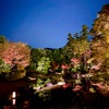 【無鄰菴】秋の紅葉🍁夜間特別公開トワイライト庭園パーティー2020へ行きました❣️