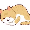 生きるに値しない命を生んできたのではなく