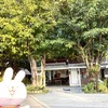 オーストラリア・韓国・フィリピン・タイの海外4ヵ国に住んでみてたどり着いた「マイペースな生き方」