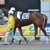 初夢特別（川崎競馬）ブライダルコーラス10着