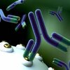 Next-Generation Antibody Therapeutics Market - Moving Towards a Brighter Future