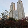 （紹介：コウヨウ）東京都庁前にある紅葉のいろいろを紹介いたしますよ