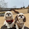 今日もダ〜ッシュ