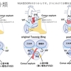 両大血管右室起始症（DORV）について　その2　DORVの分類 　〜疾患37