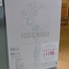 FOSS4G 2019 Niigata 参画