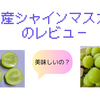 【食べ物・レポート】韓国でのシャインマスカット(샤인머스켓)の味や品質は？ まずい上に、種があるって本当？
