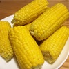 今日はとうもろこし祭りだぞ！美味しいうちに作りたい、おすすめ料理と保存方法を紹介します。