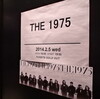 2014/02/05 The 1975 ＠ 梅田クアトロ